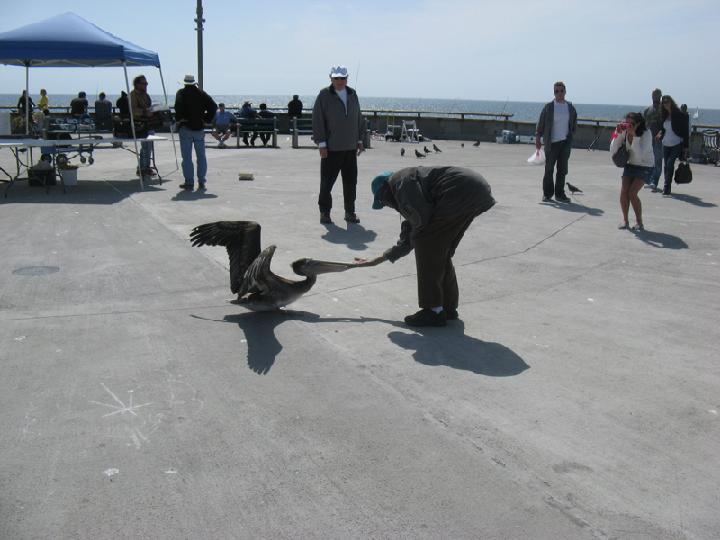 2-LA Venice 0005.JPG